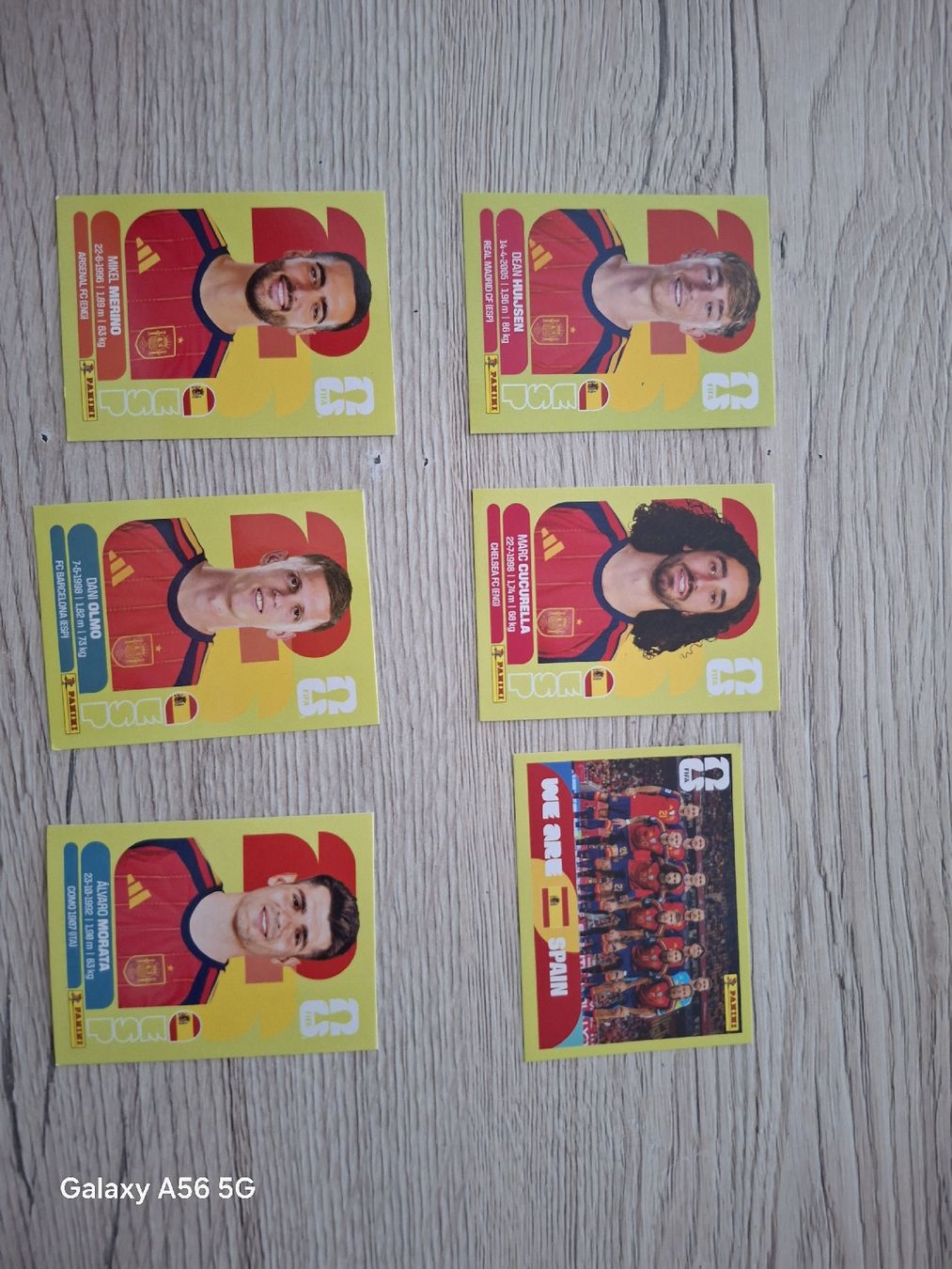 Panini Carte collezionabili: panini esp – Nuovo e nell'imballaggio originale da Vionnaz venduto da NMNB 1