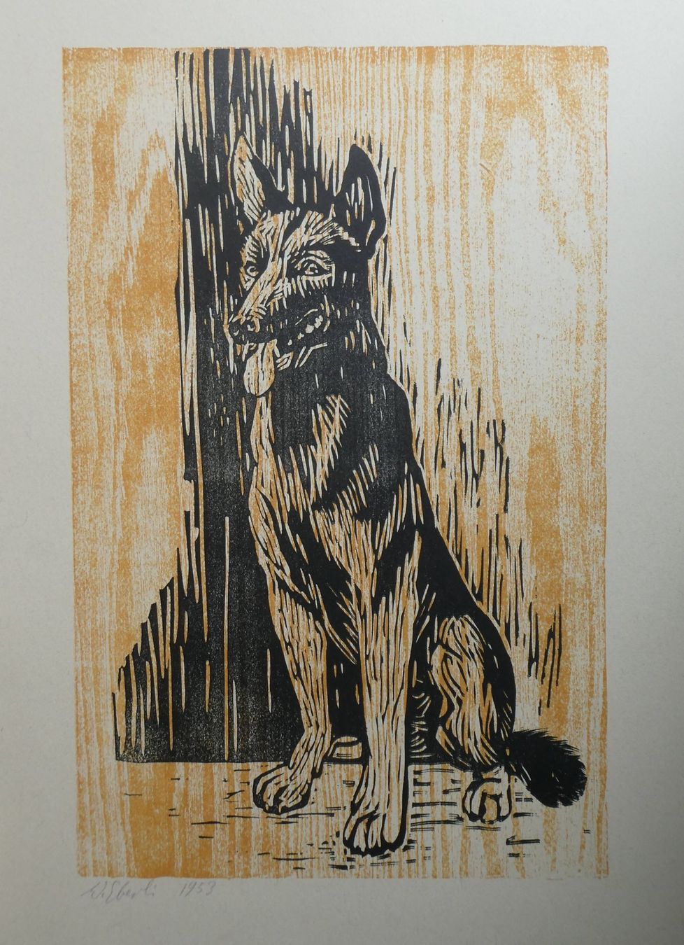 Grafica & Litografie: Lithografie Werner Eberli Gottlieben Thurgau Schäferhund – Usato da Frauenfeld venduto da Astra13 1