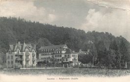 Lucerne