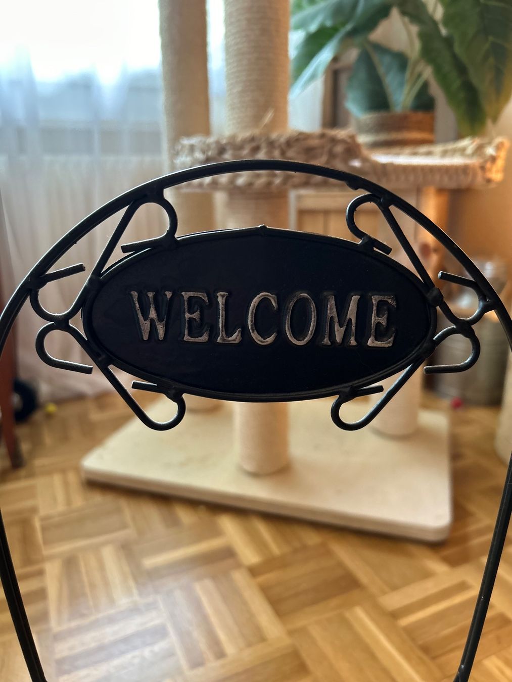 Vasi per fiori: Pflanzentopf WELCOME – Usato da Bern venduto da Dafi7 1