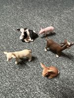 5 Schleichtiere /Uhrenbuch