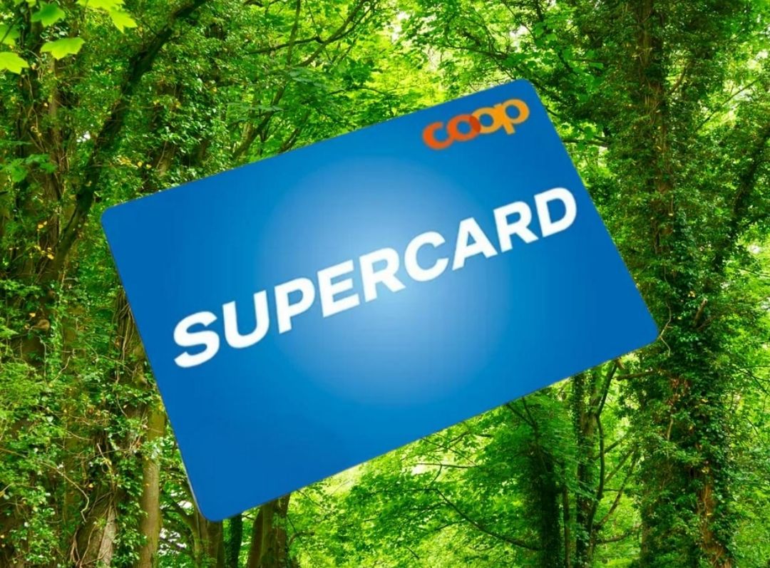 Coop Raccolte di bollini & punti: 10000 Coop Superpunkte/ habe noch + – Nuovo (secondo la descrizione) da Zufikon venduto da manifesto