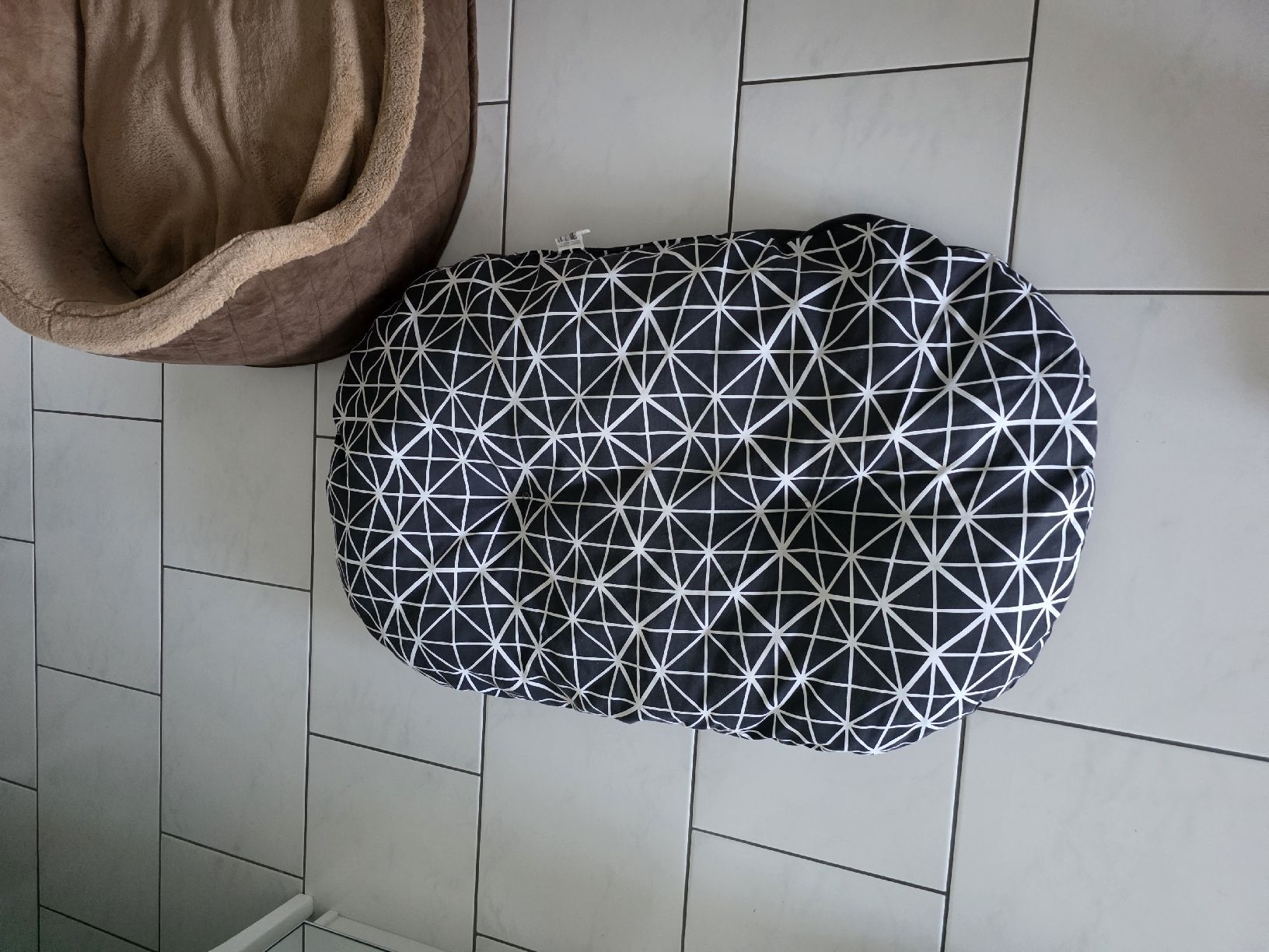 Cucce & Letti: Hundebett  – Usato da Twann venduto da kev_b6tb 1