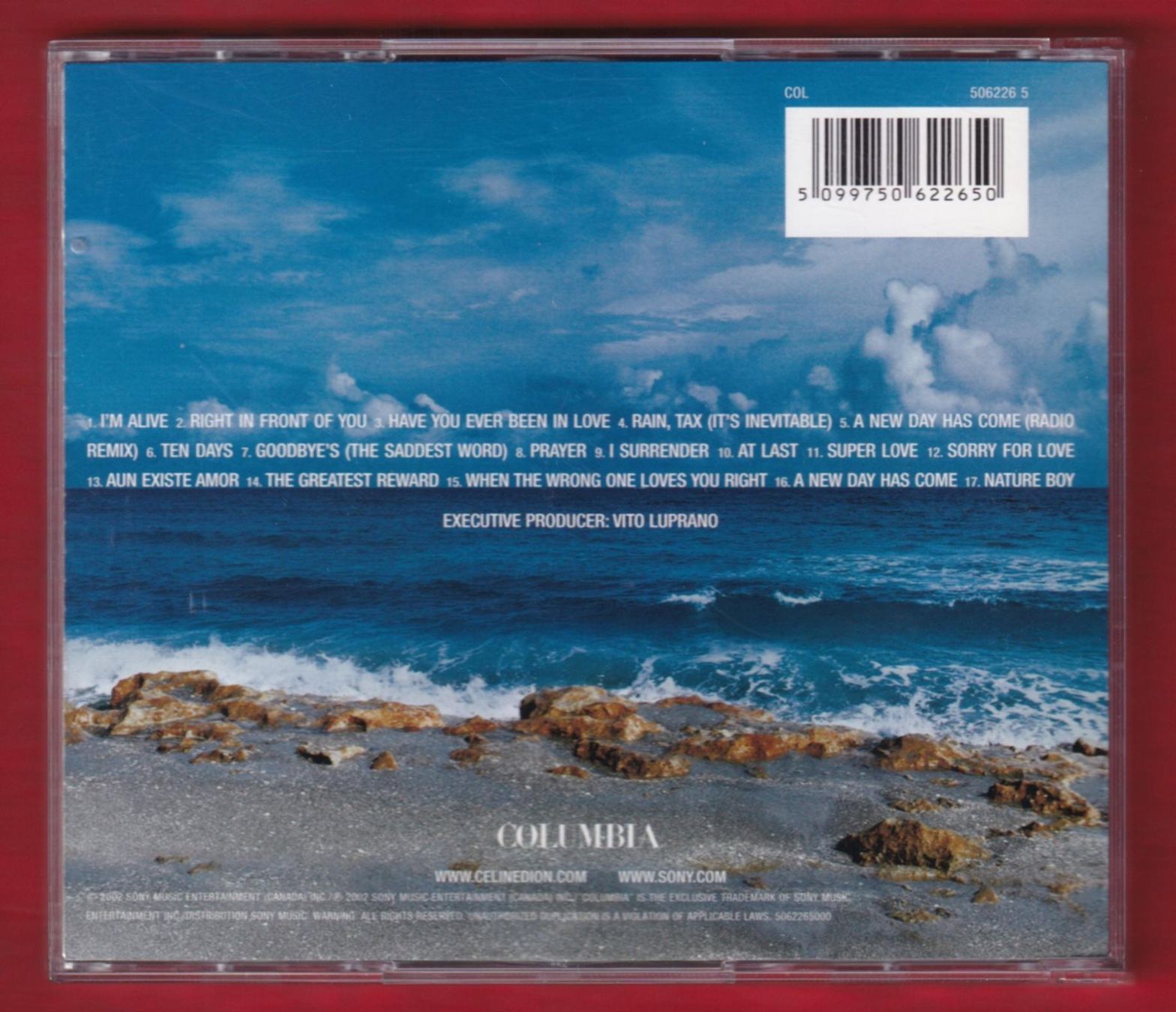 CD: Celine Dion - A New Day Has Come (CD & DVD) – Usato da Zürich venduto da Pfluftl2000 1