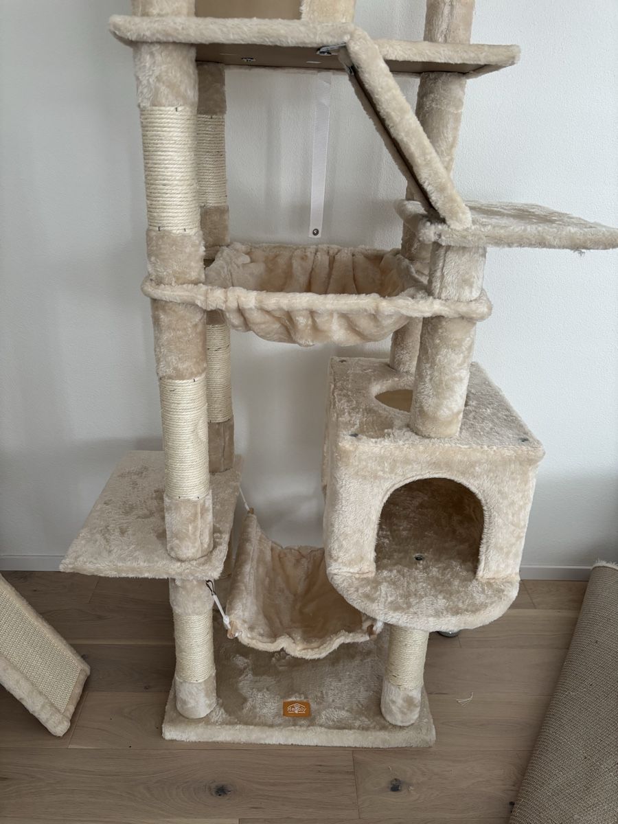 Tiragraffi: Kratzbaum Katzen 180cm beige – Nuovo (secondo la descrizione) da Lömmenschwil venduto da tmr_xx 5
