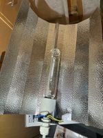 Natriumdampflampen-Set 250 W