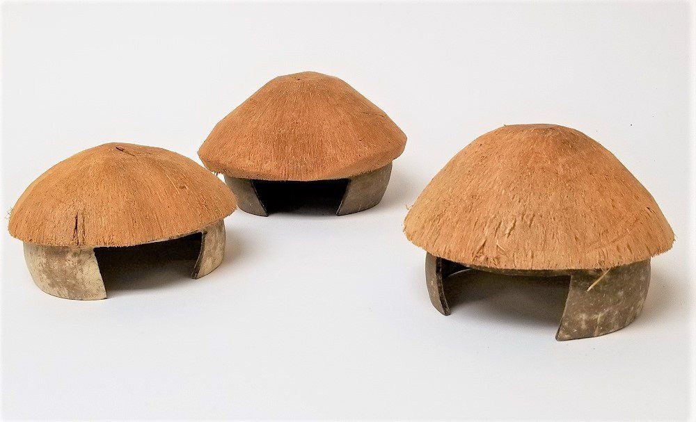 Tutte le decorazioni: Kokosnuss Häuschen / Basteln Dekoration – Nuovo e nell'imballaggio originale da Untersiggenthal venduto da AquaTerra-Discount 1
