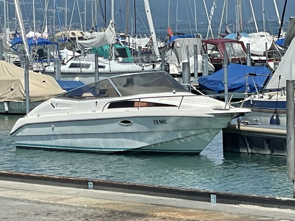 motorboot kaufen daycruiser