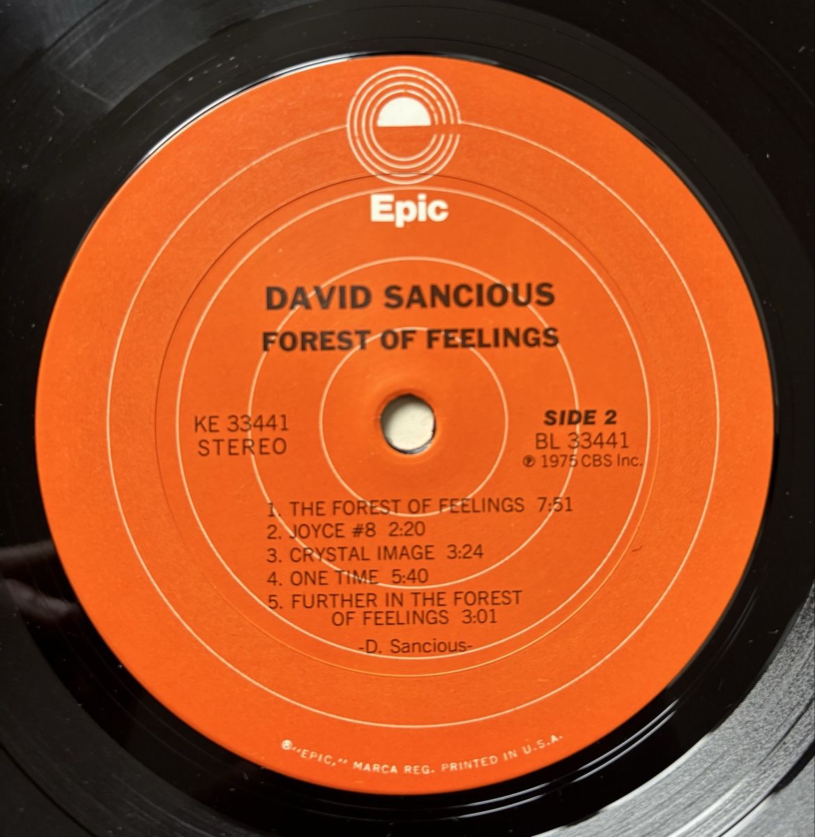 Dischi in vinile: David Sancious - Forest of Feelings VG+/VG+ – Usato da Neuchâtel venduto da Deivid2 2