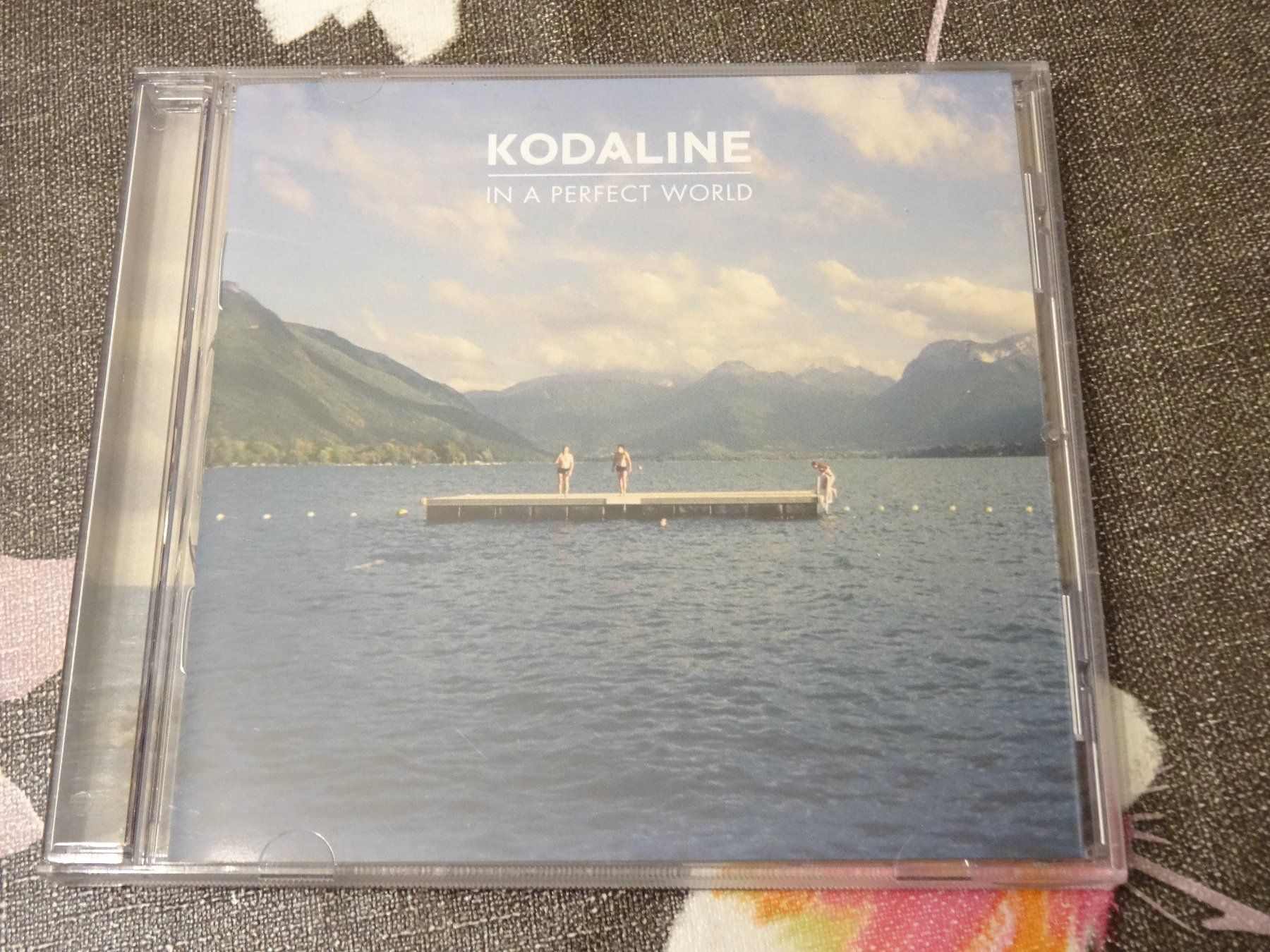 CD: Kodaline - In a perfect World CD – Usato da Olten venduto da Disc-Ausverkauf