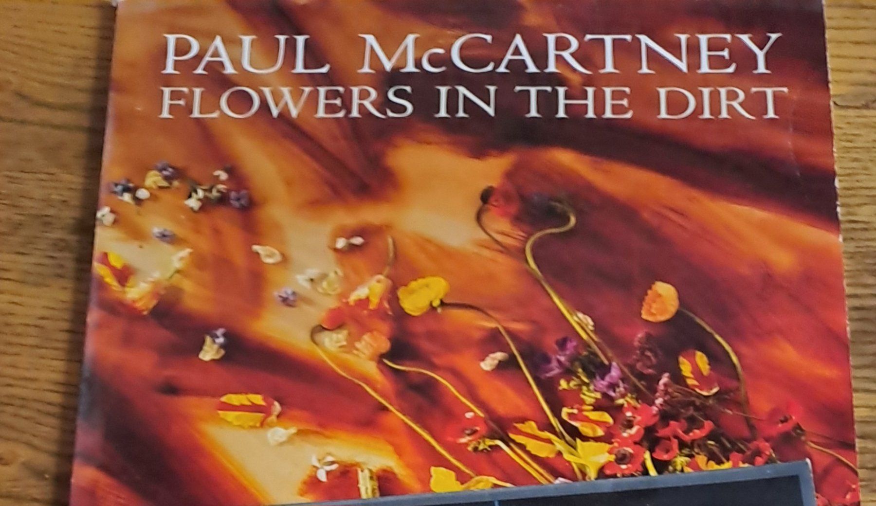 Vinyles: LP Vinyl Paul McCartney – D'occasion à Dottikon par fildi01