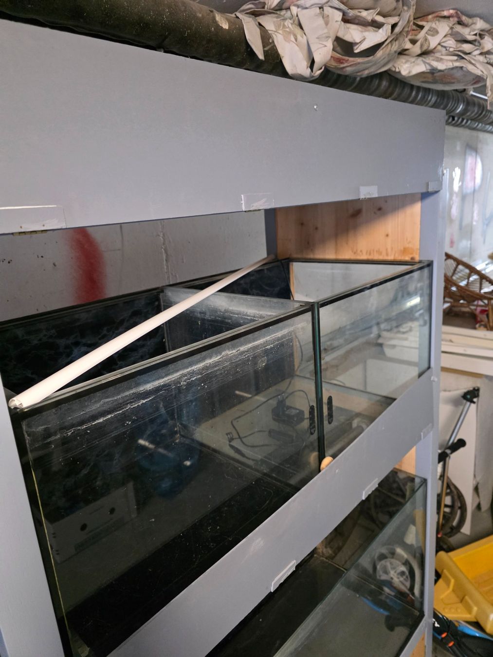 Acquari: Aquarium Turm – Usato da Triengen venduto da Pii-Ke 3