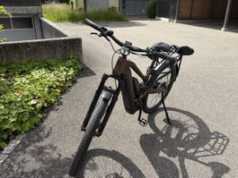 Giant Stormguard E+ 2025  Neuwertiges E-Bike 