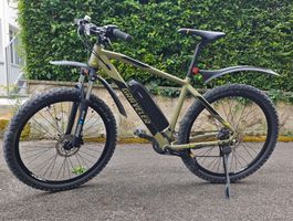 E-Bike Mountainbike Prophete Graveler E-MTB