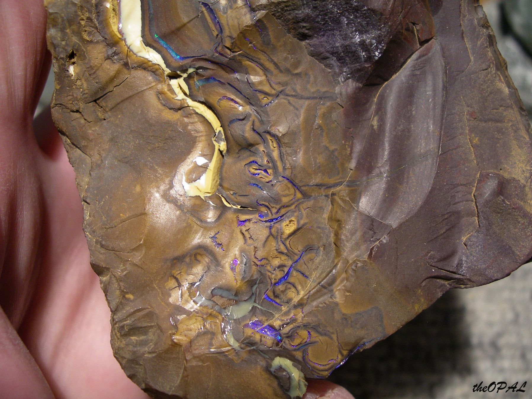 Minéraux & Lithothérapie: theOPAL*** GROSSER ROHER BOULDER MATRIX NUSS OPAL 2540ct *** – Neuf avec emballage d'origine à Ebnat-Kappel par theOPAL 6