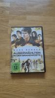 Maze Runner - DVD