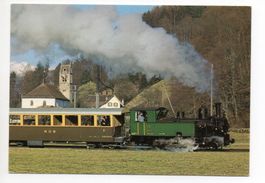 ZWEILÜTSCHINEN Bahn Dampflokomotive - Modelleisenbahnfreunde