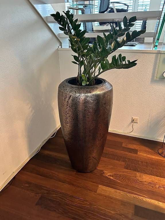 Vasi per fiori: Pflanzengefäss antik – Usato da Schaffhausen venduto da Apardo01