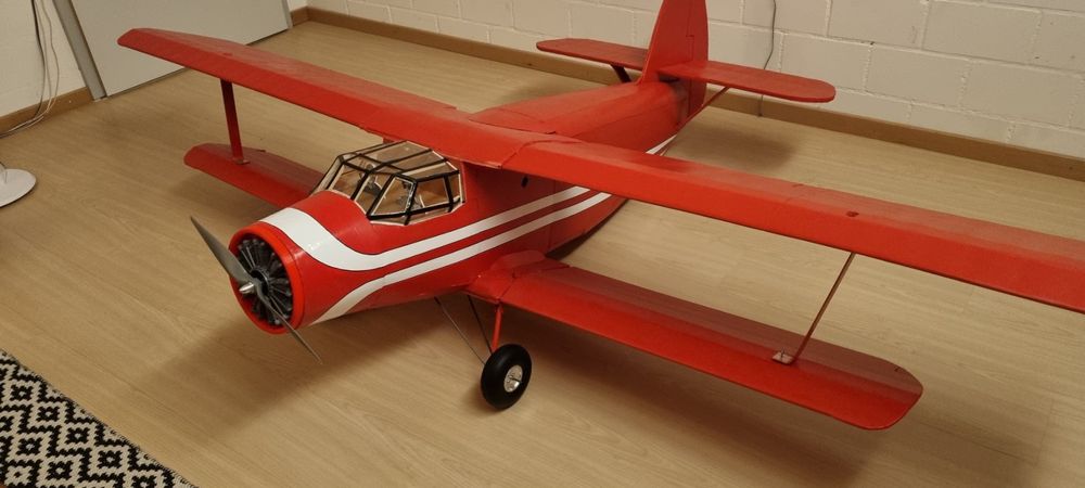 Antonov An-2, Eigenbau aus FliteTest Foam Board (Gebraucht