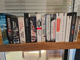 Thriller Paket mit Klassikern (Gone Girl, Beckett, Strobel)