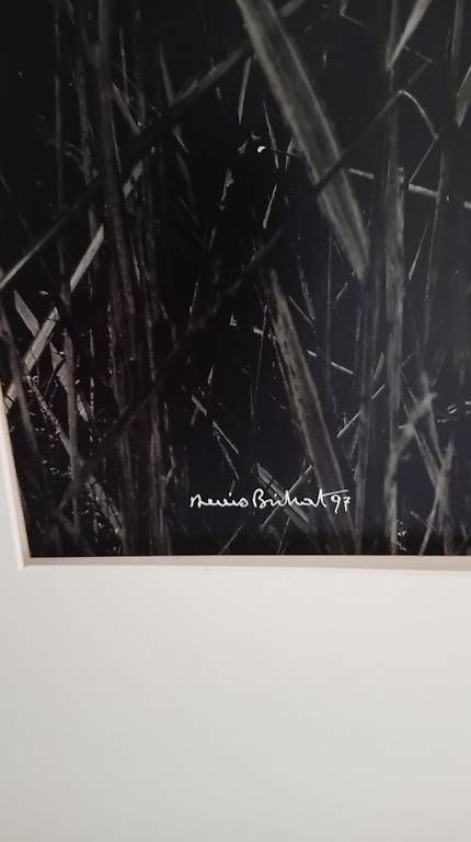 Foto & Immagini: Tirage original de Denis Brihat – Usato da Mont-Pèlerin venduto da gscherle 1