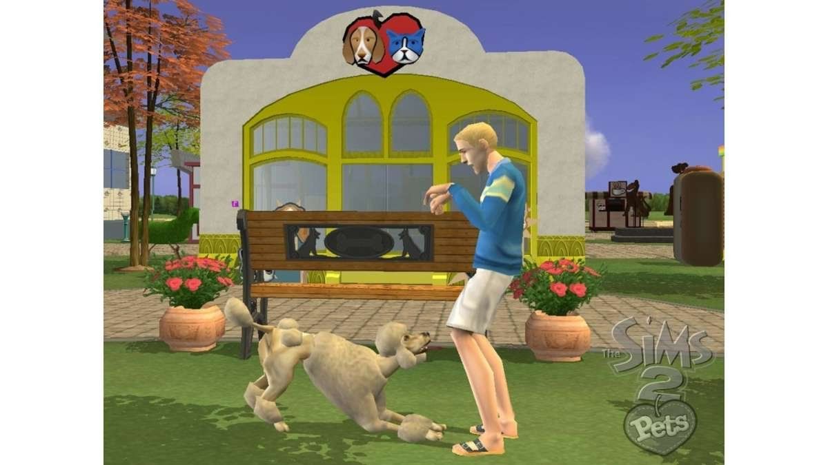 Nintendo Giochi: Die Sims 2 Einfach Tierisch perfekte Haustiere Wii – Usato da Schüpfheim venduto da Games_Spielkonsolen 9
