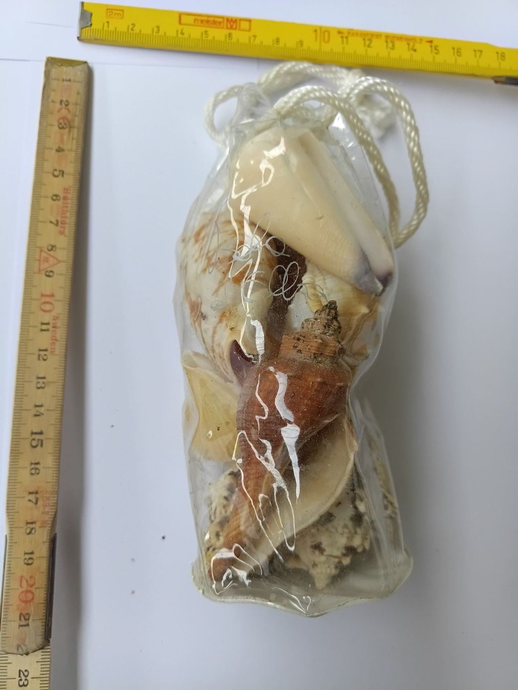 Tutte le decorazioni: Muscheln Konvolut aus Elba – Nuovo e nell'imballaggio originale da Wängi venduto da Ladys_First 2