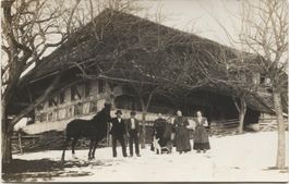 Landwirtschaft/Bauernfamilie 1910 Pferd+Hund BE?