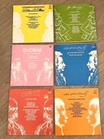🎼 Vintage-Sammlung Klassik | 30 Vinyl | Höchste Qualität
