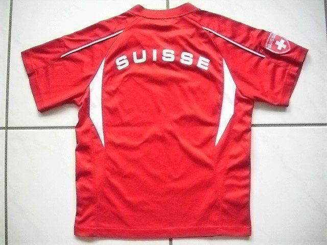 Équipe de Suisse de football en 1985 - Wikipédia