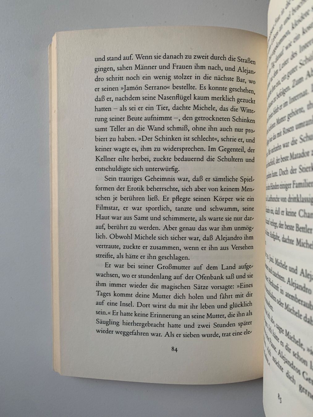 Libri: "Ohio" Roman von Ruth Schweikert – Usato da Zürich venduto da Leonieonie. 2