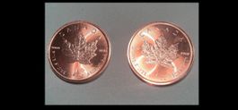 2 Silbermünzen Kanada Maple Leaf 2025
