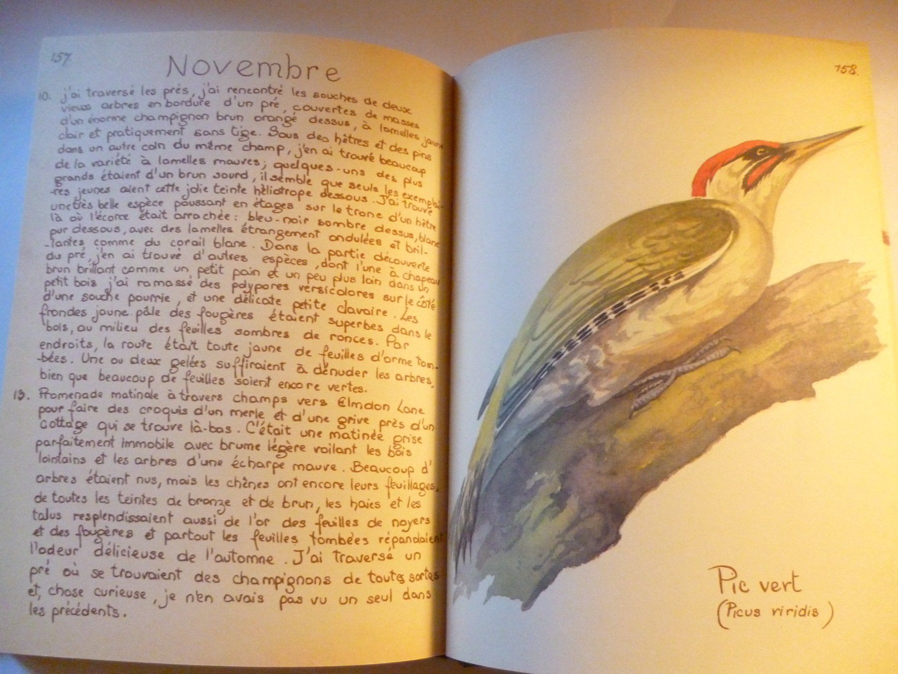 Libri: Journal Champêtre d'Edith Holden – Usato da Montreux venduto da dodeskaden 6