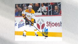 Foto 20x25cm Roman Josi