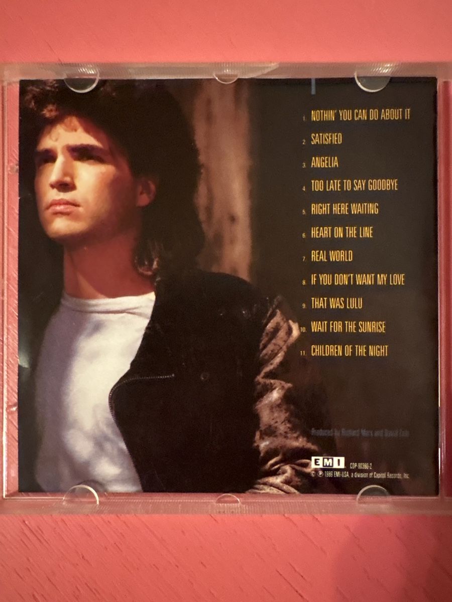 CD: Richard Marx - Repeat Offender – Usato da Lützelflüh-Goldbach venduto da Deiv4 2