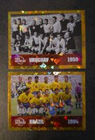Panini FWC 10/ FWC 15