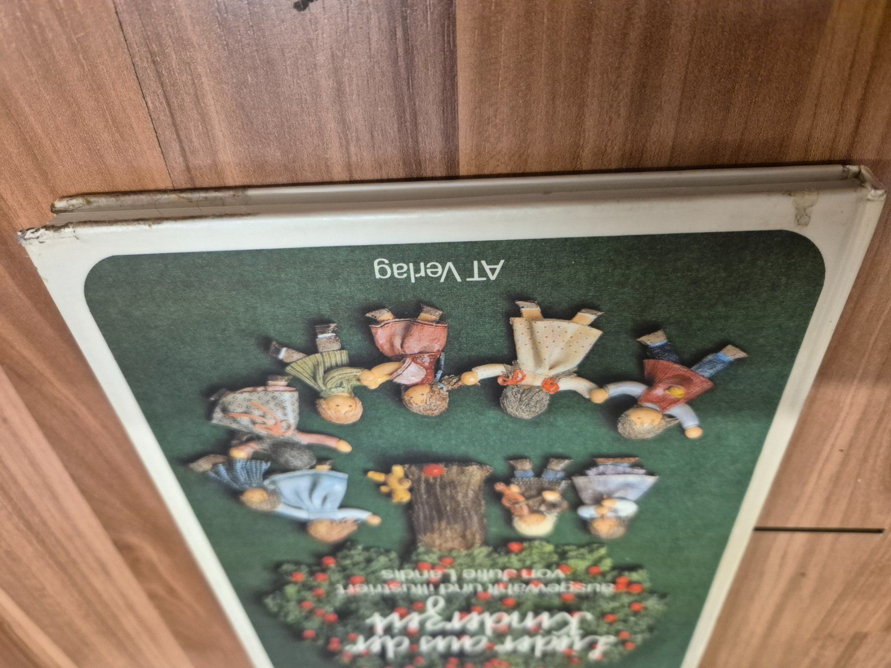 Libri: Lieder aus der Kinderzeit - Julie Landis -B – Usato da Schwarzenburg venduto da Sunny0290 4