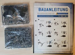 Warhammer 40k Tyraniden: Termaganten und Absorberschwarm