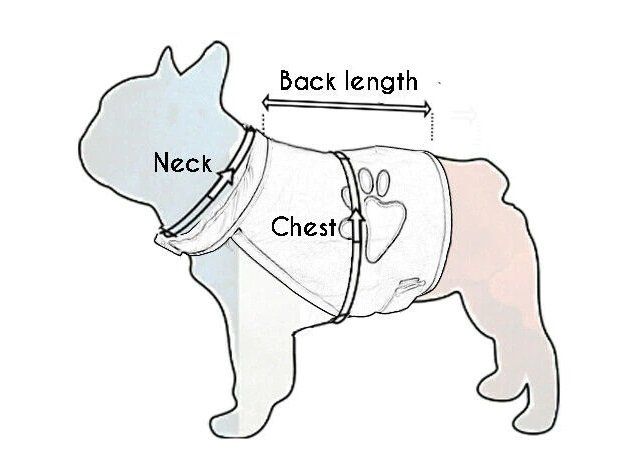 Vêtements: Hunde Leuchtveste  Warnweste Grösse M – Neuf avec emballage d'origine à Utzigen par Flyblue 5
