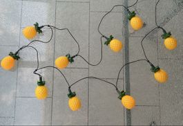 Exotische Ananas Lichterkette🍍