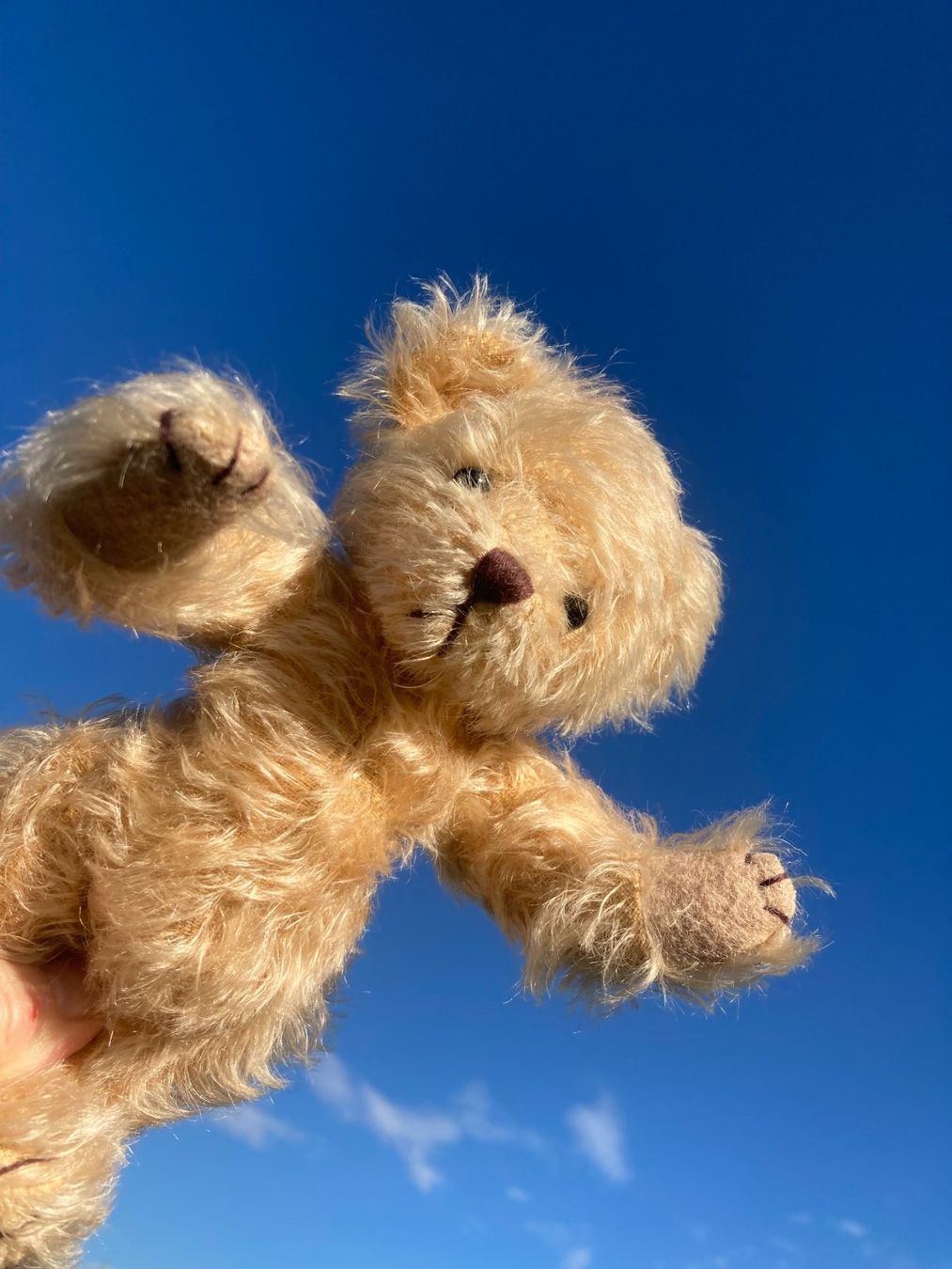 Giocattoli: Teddy Teddybär mit handgestricktem Pullover+Jupe handgenäht – Usato da Subingen venduto da Etageren