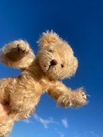 Teddy Teddybär mit handgestricktem Pullover+Jupe handgenäht