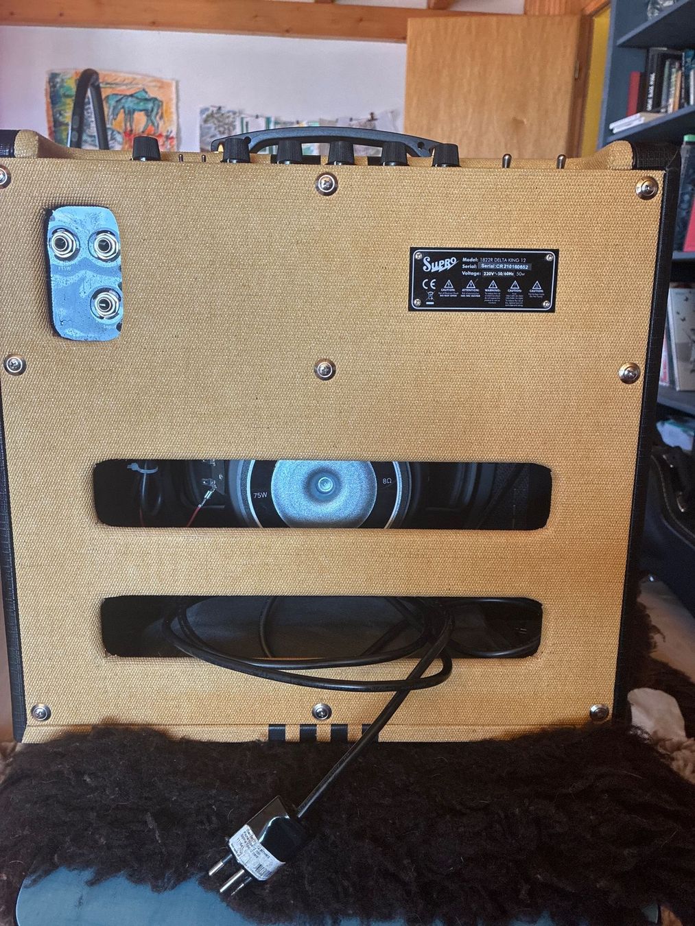 Amplificateurs: Ampli Supro Delta King 12 – D'occasion à Saules par bos_7w6r 2