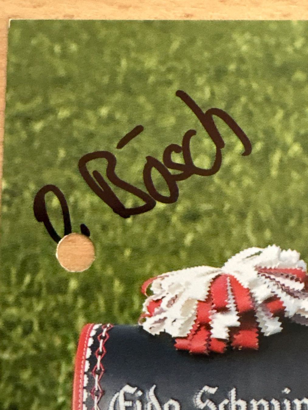 Autografi: Autogramm Daniel Bösch Eidg. Schwingfest Aarau 2007 – Usato da Ibach venduto da lisch3 1