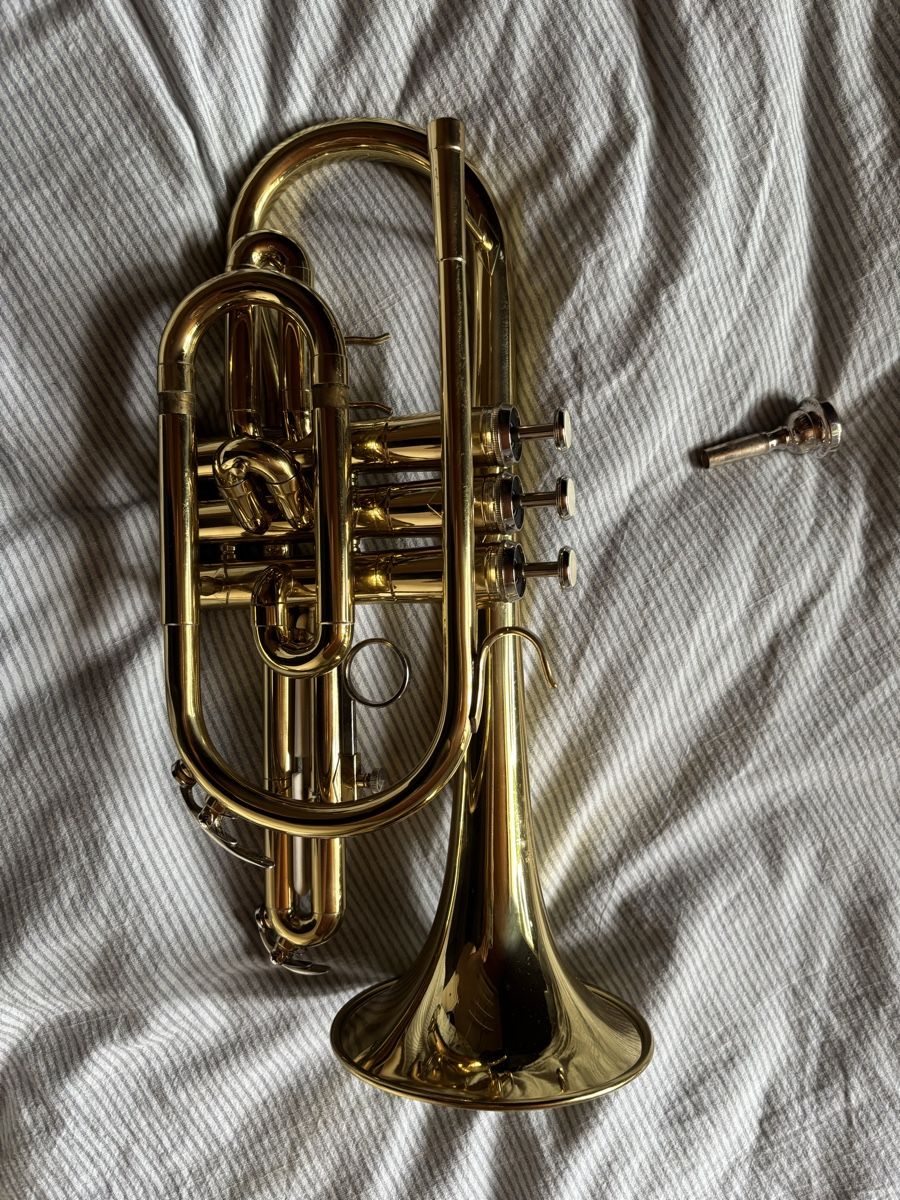 Musikinstrumente: Weril Cornet EC107t – Gebraucht aus Kilchberg BL von wirz_lorena