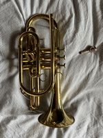 Weril Cornet EC107t