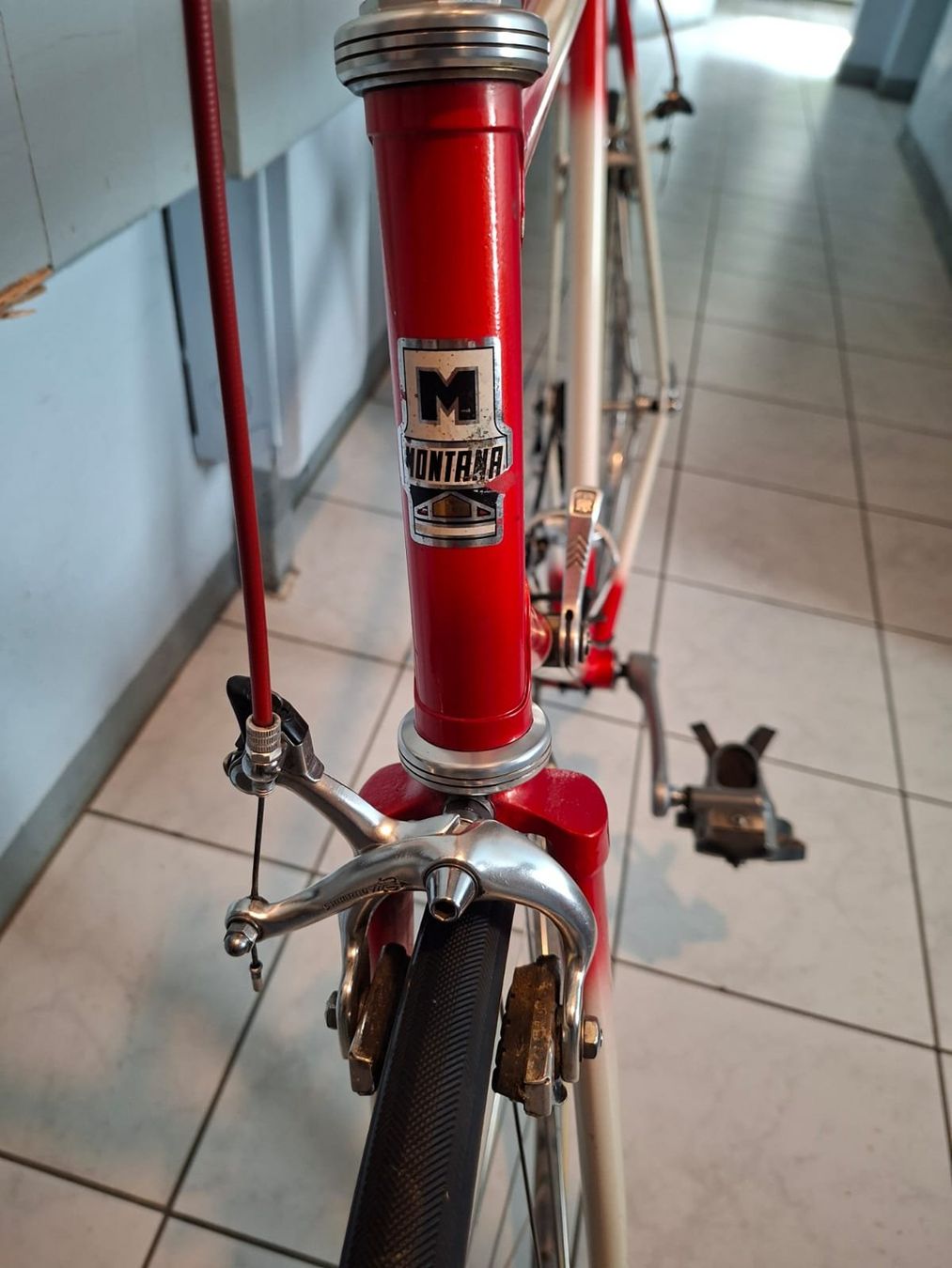 Biciclette: Montana Rennvelo – Usato da Lyss venduto da van_td8t 4