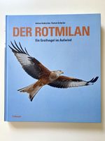 Der Rotmilan - Ein Greifvogel im Aufwind