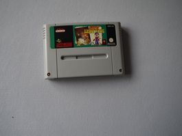ARDY LIGHTFOOT - Super Nintendo - SNES