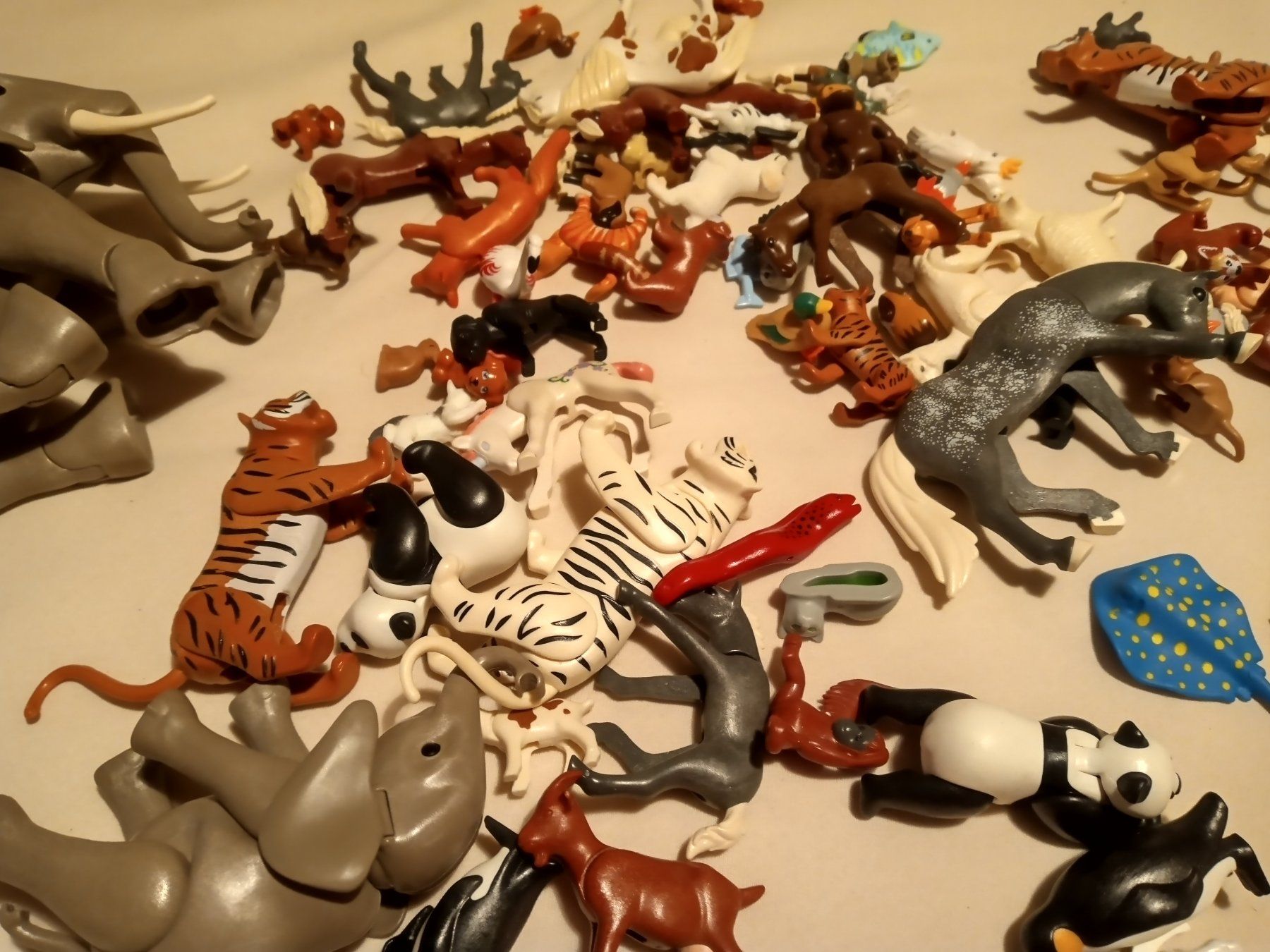 Playmobil Giocattoli: Playmobil Tiere – Usato da Prez-vers-Siviriez venduto da Monija70 3